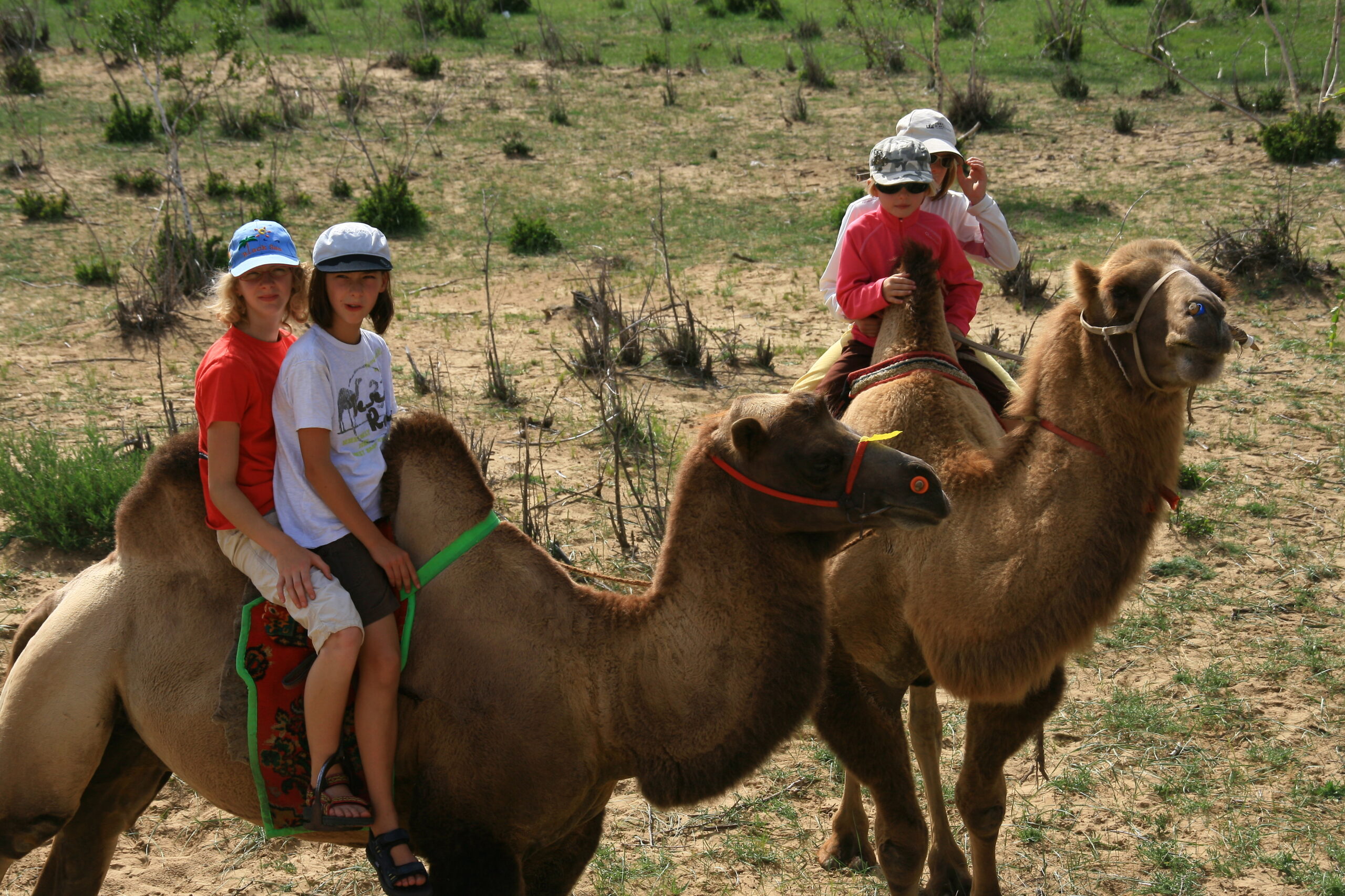famille mongolie