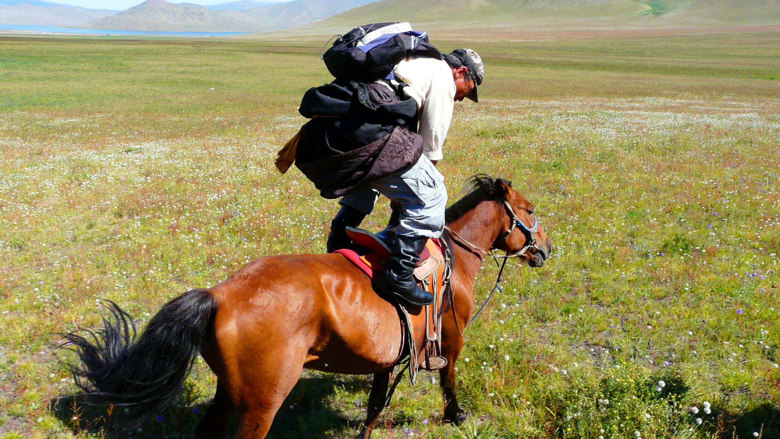 Randonnée à cheval en mongolie