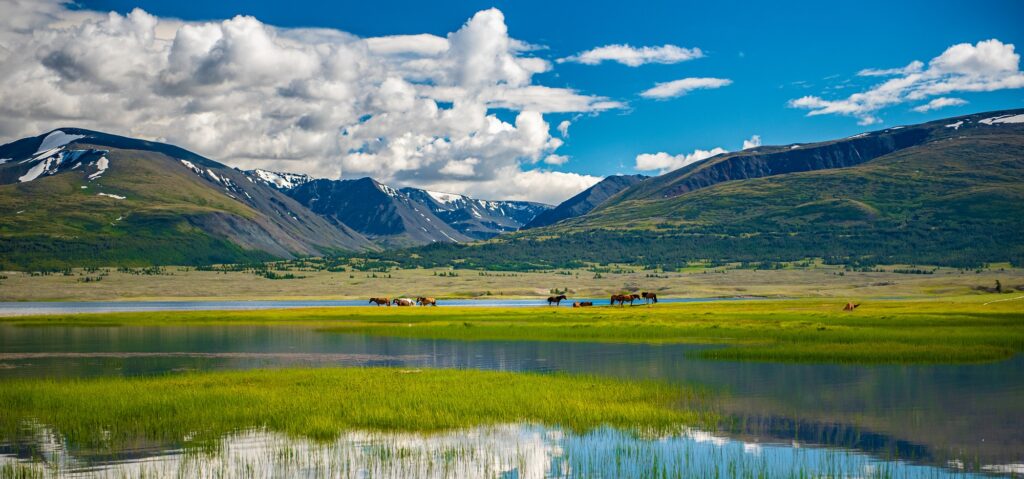 région des 8 lacs en mongolie